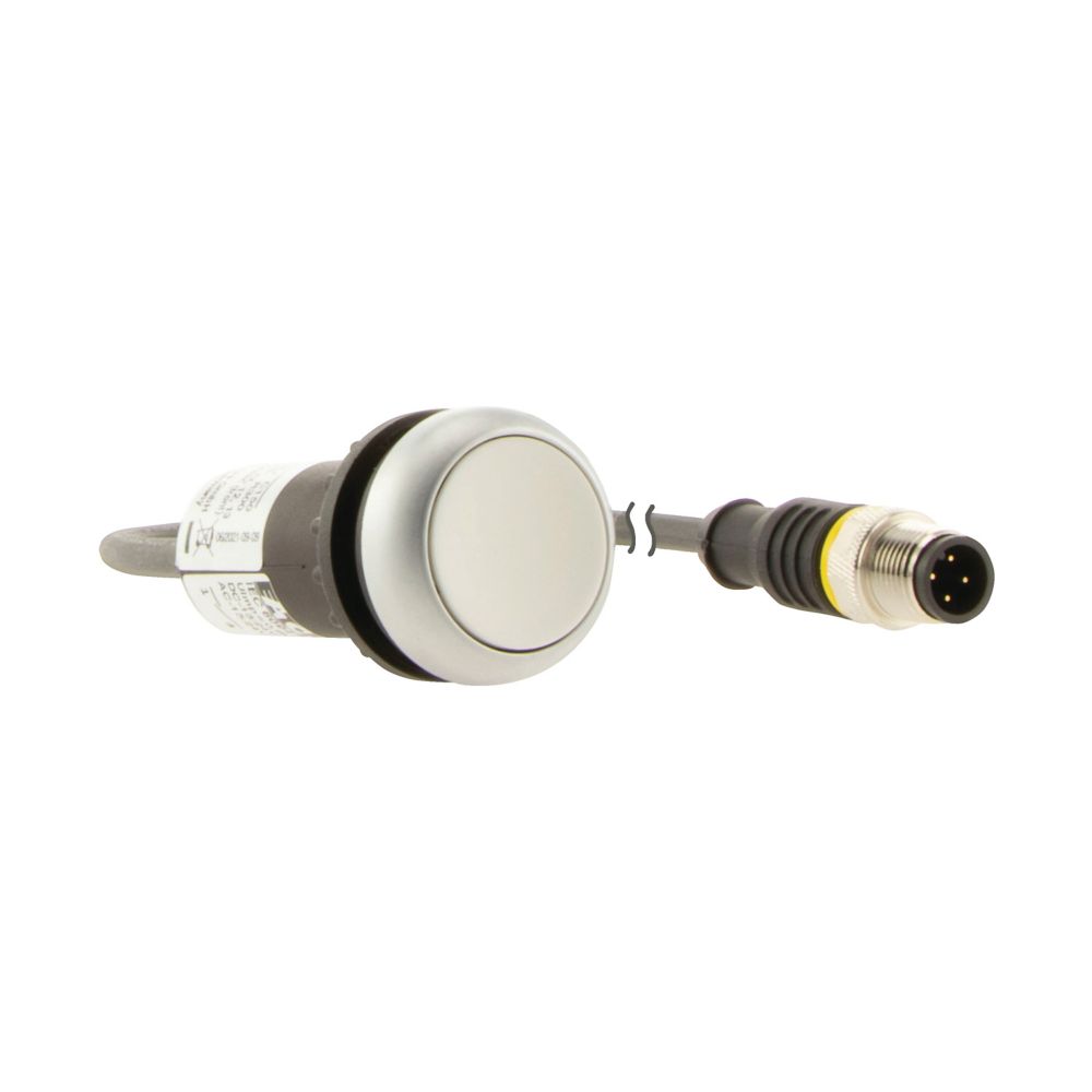 C22-D-W-K10-P1