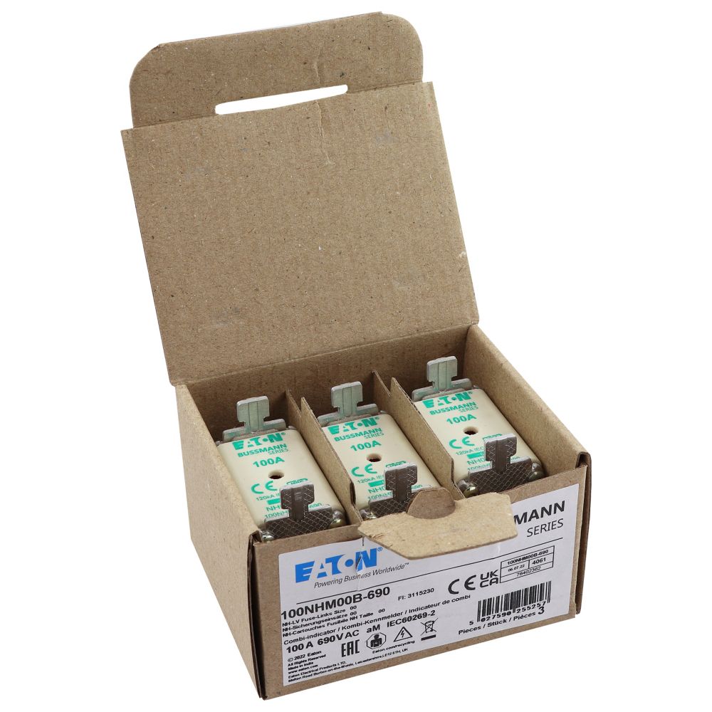 100A 690V FUSE NH SIZE 00 aM DUAL IND