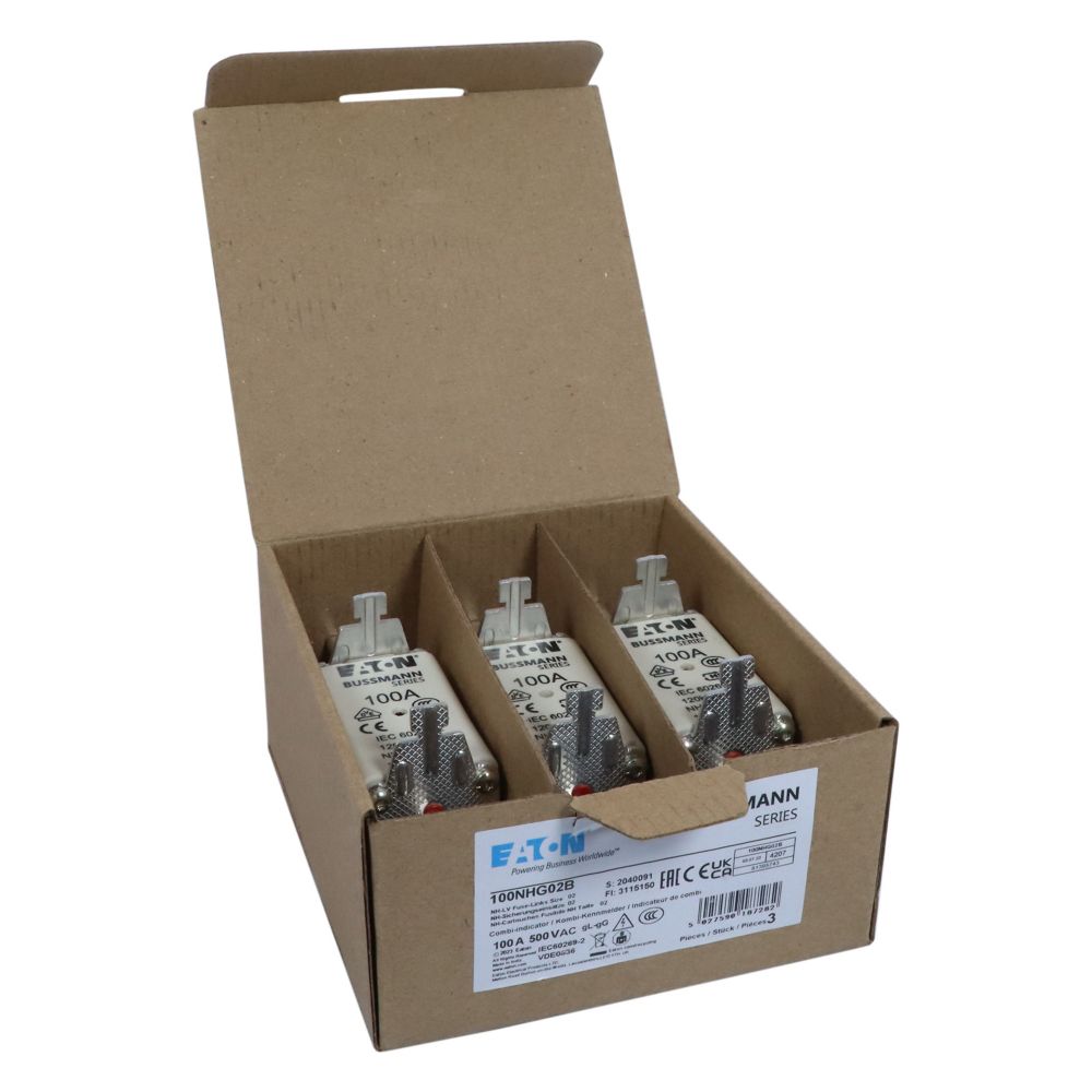 100A 500V GG/GL SIZE02 DUAL IND. NH FUSE