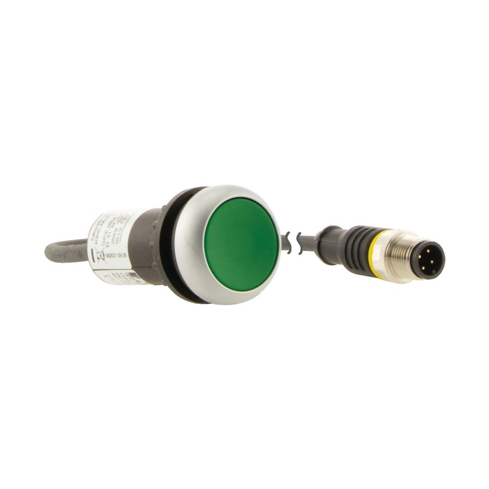 C22-D-G-K10-P1