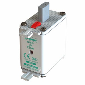 NH FUSE 80A 690V aM SIZE 00