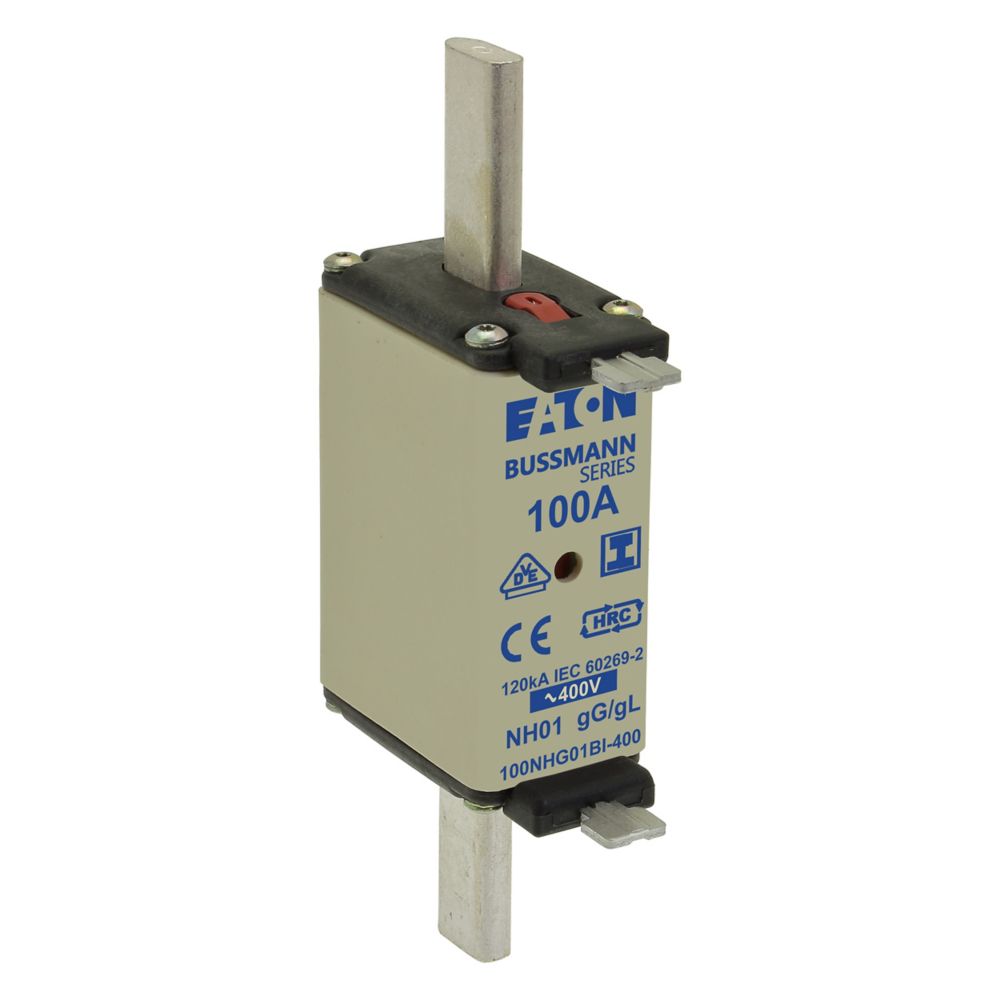 100A 400V GG/GL SIZE 01 IMGL NH FUSE